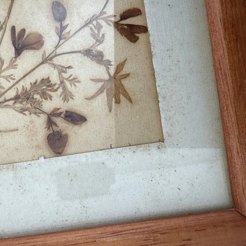 Vintage Pressed Real Flowers Wooden Frame Cottagecore Prairie 7x5